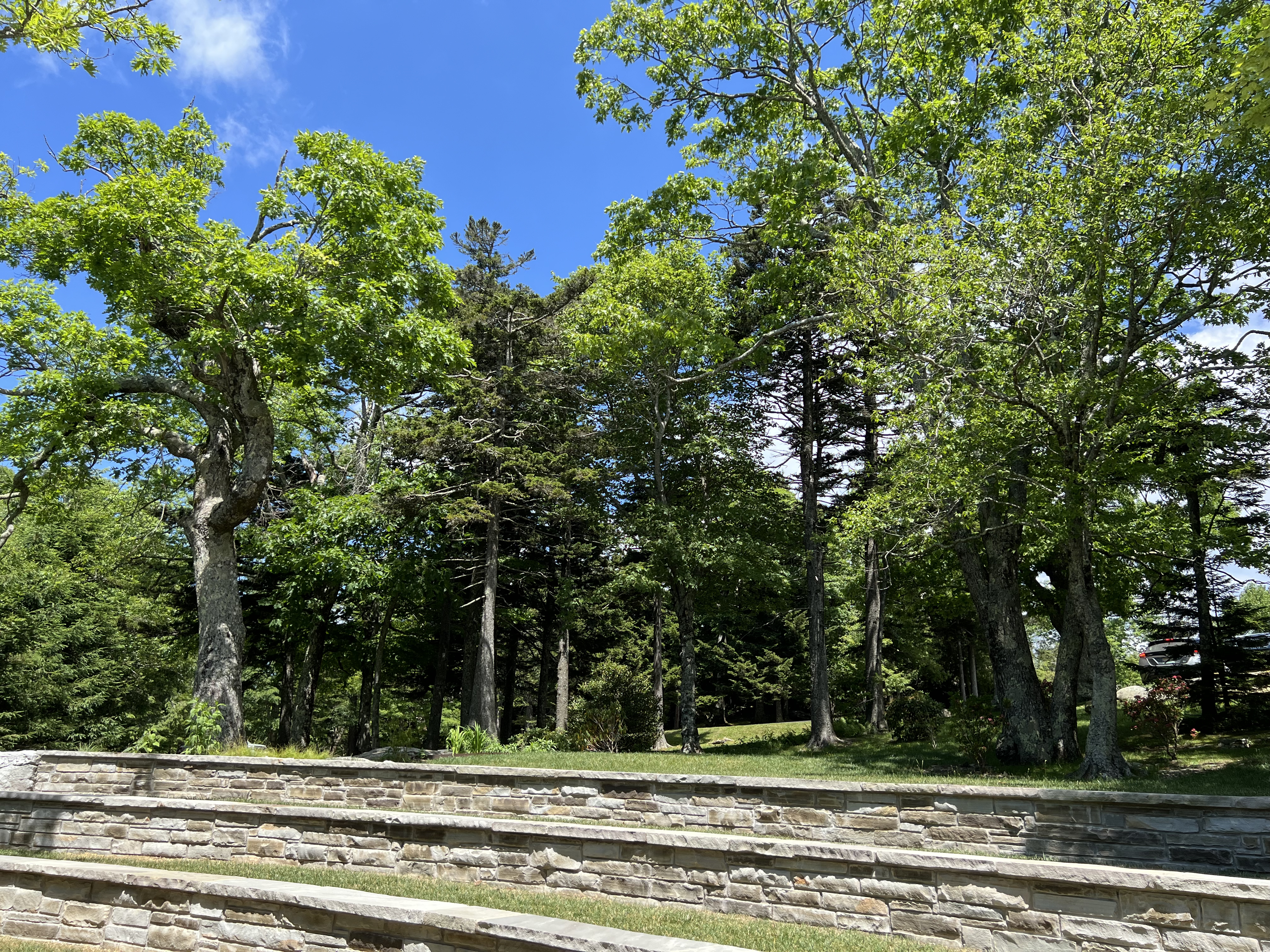 ./2024/08 - Banner Elk/Grandfather Mountain/IMG_1956.jpg